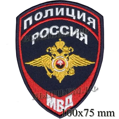 Полигон Жетон Нагрудный знак металлический Полиция МВД России