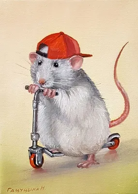 Крысы и мышки | Cute drawings, Mouse illustration, Cute art