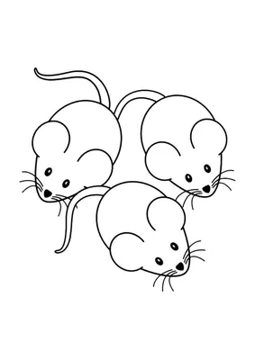Раскраска мышки . Три мышки - раскраска. Раскраски для развития.