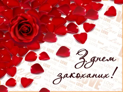 Самые красивые Валентинки на 14 февраля — Современные картинки 2023