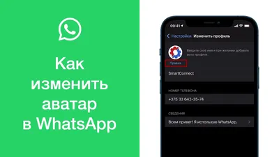 Картинки на аватарку в WhatsApp - прикольные, красивые и со смыслом