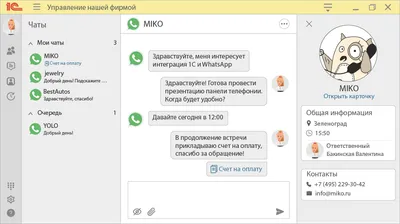 Чат бот WhatsApp: что такое whatsapp бот и чем он полезен бизнесу?