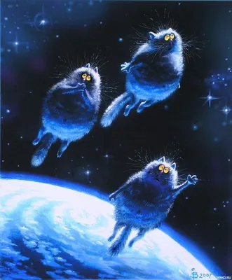 Толстые коты синего цвета летят в космосе — Картинки на аву | Кошки и  котята, Иллюстрация кошки, Сумасшедшие кошки