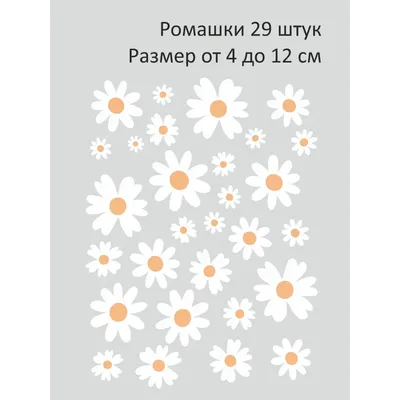 Скачать 938x1668 ромашки, цветы, трава, дикий, природа обои, картинки  iphone 8/7/6s/6 for parallax