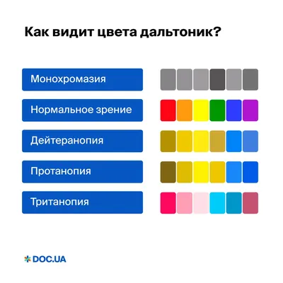 Тест: Узнайте, есть ли у вас дальтонизм / AdMe