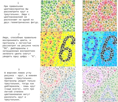 Как определить дальтонизм в домашних условиях? - энциклопедия Ochkov.net