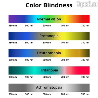 Как видят мир люди с разными формами дальтонизма