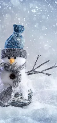Картинки зима на заставку телефона (37 лучших фото)