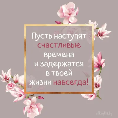 365 отмазок на каждый день Календарь настенный на 2023 год (300х300 мм)  купить в интернет-магазине | 978-5-04-162491-0 | Эксмо