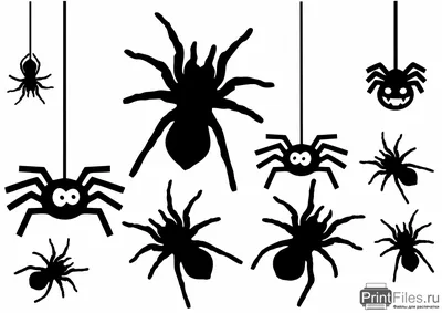 Картинки на хэллоуин пауки фотографии