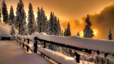 Фон panorama фантазии зимы иллюстрация штока. иллюстрации насчитывающей  ландшафт - 197480156