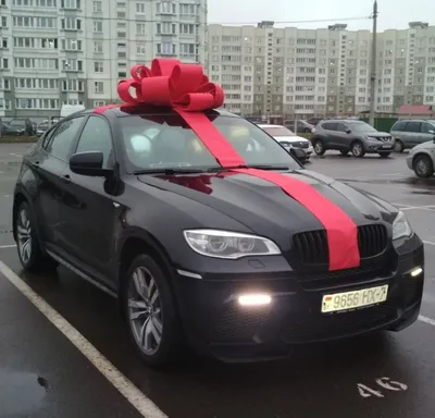 В Беларуси нельзя просто так взять и подарить машину жене. Рассказываем, в  чем загвоздка — Блог Гродно s13