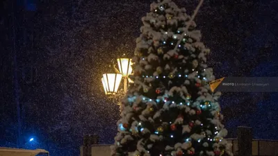 Как Витебск будет праздновать Новый год-2021 и Рождество (программа  мероприятий)