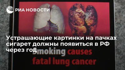 Страшные картинки\" на пачках сигарет увеличат в России - Мировые новости -  astv.ru