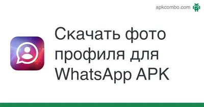 Как добавить второй аккаунт в WhatsApp на Android, не клонируя приложение -  AndroidInsider.ru
