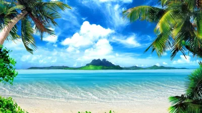 Скачать обои на рабочий стол бесплатно без регистрации в формате 1600x900.  Вид на остров. Острова, вода, небо, облако, пальмы, природа.