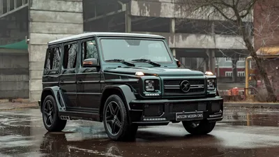 Скачать обои mercedes-benz, гелик, собака, раздел машины в разрешении  1024x1024