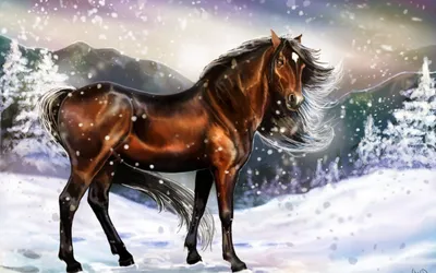 Обои снежная, белая, лошадь, снег картинки на рабочий стол, фото скачать  бесплатно