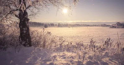 Природа, зима, солнце, лучи, лед обои для рабочего стола, картинки, фото,  1920x1080.