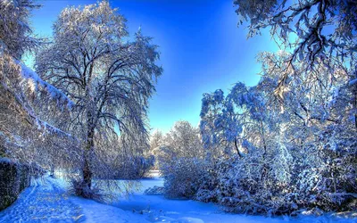 Обои природа, зима, отдых, снег на рабочий стол