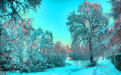 Скачать обои Праздники Яна Кучеева, Новый год, зима, сказочный лес на рабочий  стол 800x600