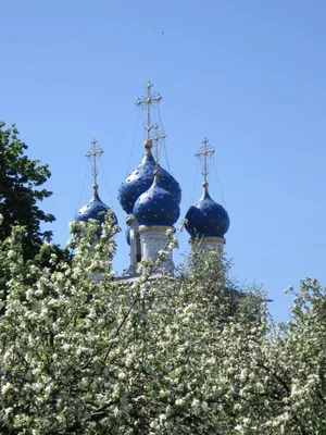 фото обои рабочего стола Церковь в Коломенском с яблонями на переднем плане