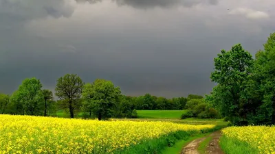 Обои \"Весна\" на рабочий стол, скачать бесплатно лучшие картинки Весна на  заставку ПК (компьютера) | mob.org