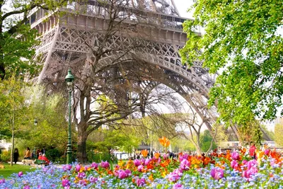 Париж весной - 93 фото