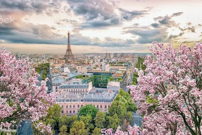 Париж весной - 93 фото