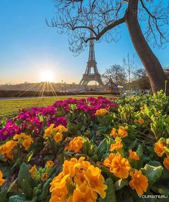 ᐉ Картина для интерьера Волшебная весна в Париже 96x60 см (374-32)