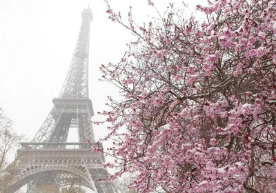 Обои для рабочего стола париже Эйфелева башня Франция La tour Eiffel