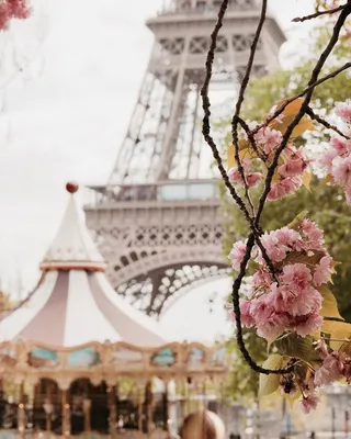 DECORETTO Фотообои \"Весна в Париже\", 360х254 (ШхВ см)