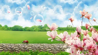 Скачать обои Весна, весенний парк, цветущие деревья на рабочий стол из  раздела картинок Красивые картинки весны