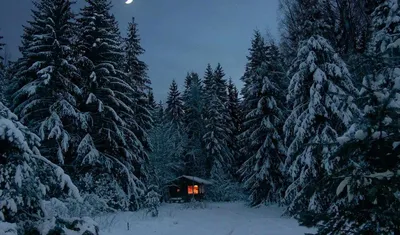 Обои зима, горы, лес, домик, природа, мороз на рабочий стол