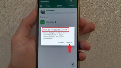 Как скрыть свой статус WhatsApp для выбранных контактов - Hi-Tech Mail.ru