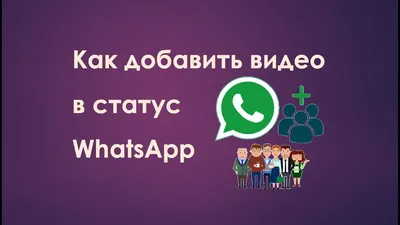 какие можно милые фотки выставить в статус WhatsApp WhatsApp｜Поиск в TikTok