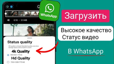 Лайфхак для профессионала: «Как использовать «Статус» в WhatsApp в виде  ненавязчивой рекламы»