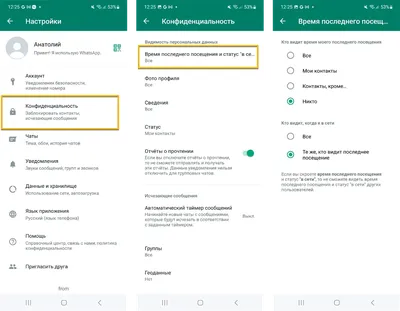 Как создать текстовый цветной статус в WhatsApp