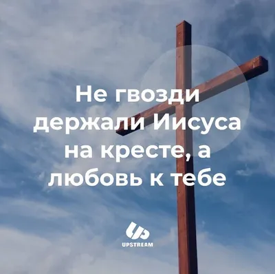 11 неизвестных, но нужных фишек WhatsApp