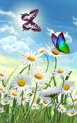Обои насекомое, бабочка, Синтия подрода, мотыльки и бабочки, синий на  телефон Android, 1080x1920 картинки и фото бесплатно