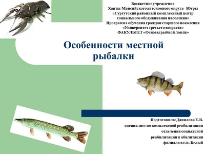 Винтажный плакат на тему рыбалки с рыбой Иллюстрация штока - иллюстрации  насчитывающей семги, цвет: 262442636
