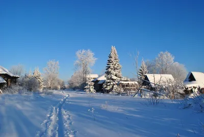 Зима в деревне избушка Раскраски про зиму для детей