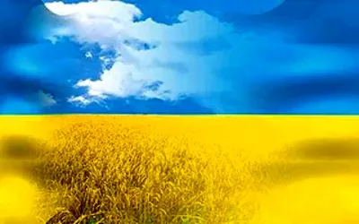 Картина по номерам украинская тематика 40 х 50 см Art Craft 10350-AC купить  в Украине