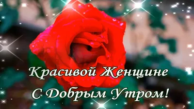 Картинки \"С Добрым Утром!\" девушке (100+)