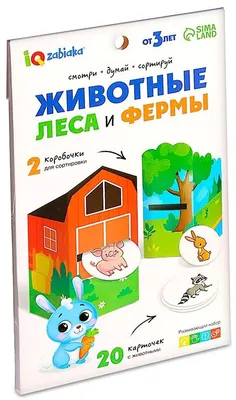 Оптические иллюзии с животными - тест на внимательность за 20 секунд | РБК  Украина