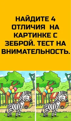 Тест на внимательность: сколько хомяков на фото на самом деле? - Питомцы  Mail.ru