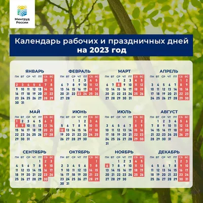 Минтруд определил выходные и праздничные дни в 2023 году – Коммерсантъ