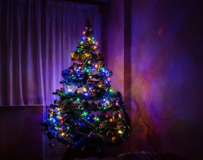 Наряженные новогодние елки дома (75 фото) - фото - картинки и рисунки:  скачать бесплатно