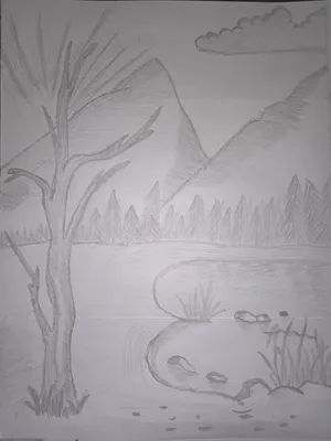 Рисунок карандашом природа для срисовки | Нарисовать цветы, Рисунки, Природа