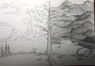 Рисунок природы для срисовки (53 шт)